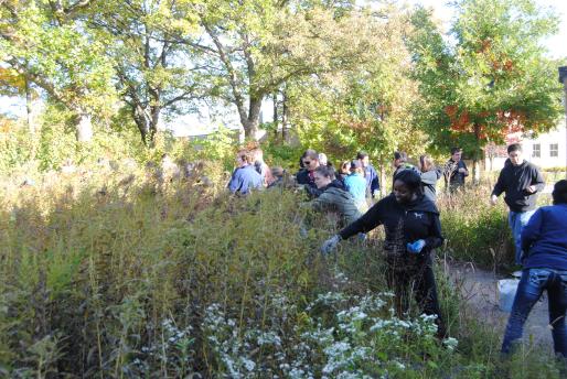Student volunteers collecting native plant seeds to sow along the banks of the Rouge River