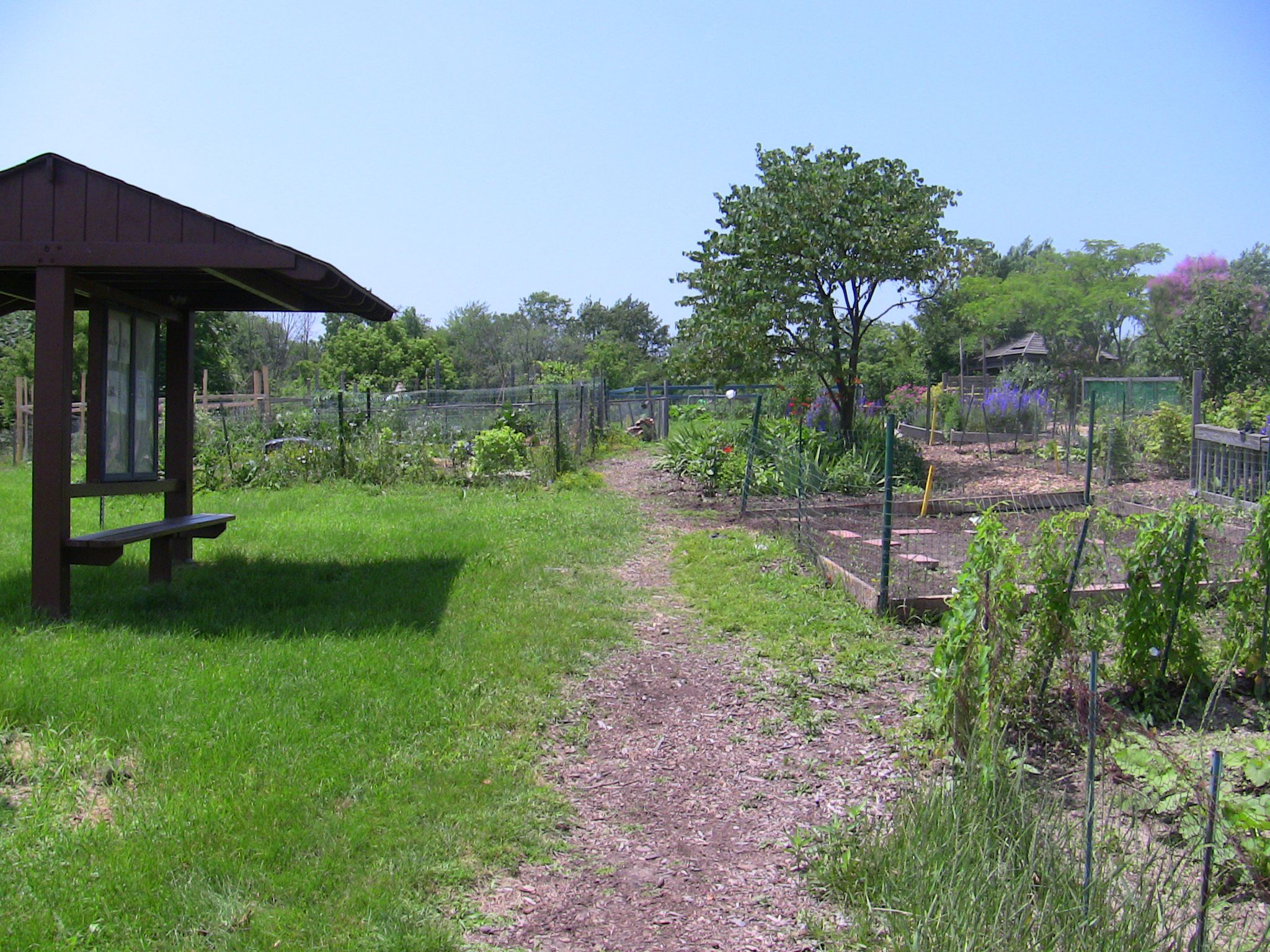 Organic Garden Entrance