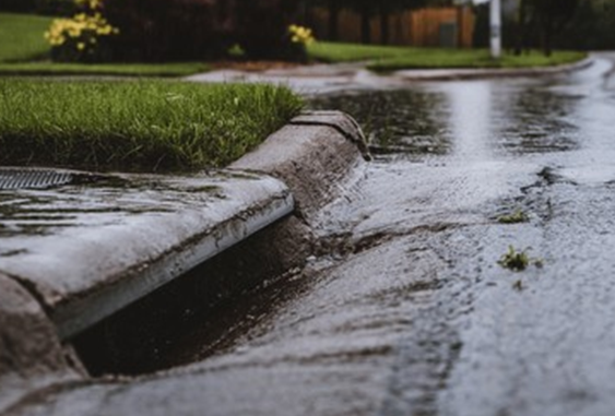 Paved road with water from rain on the surface flowing into a drain on the side of the road / curb. There is a sidewalk and grass area with a bush with yellow flowers in the back.